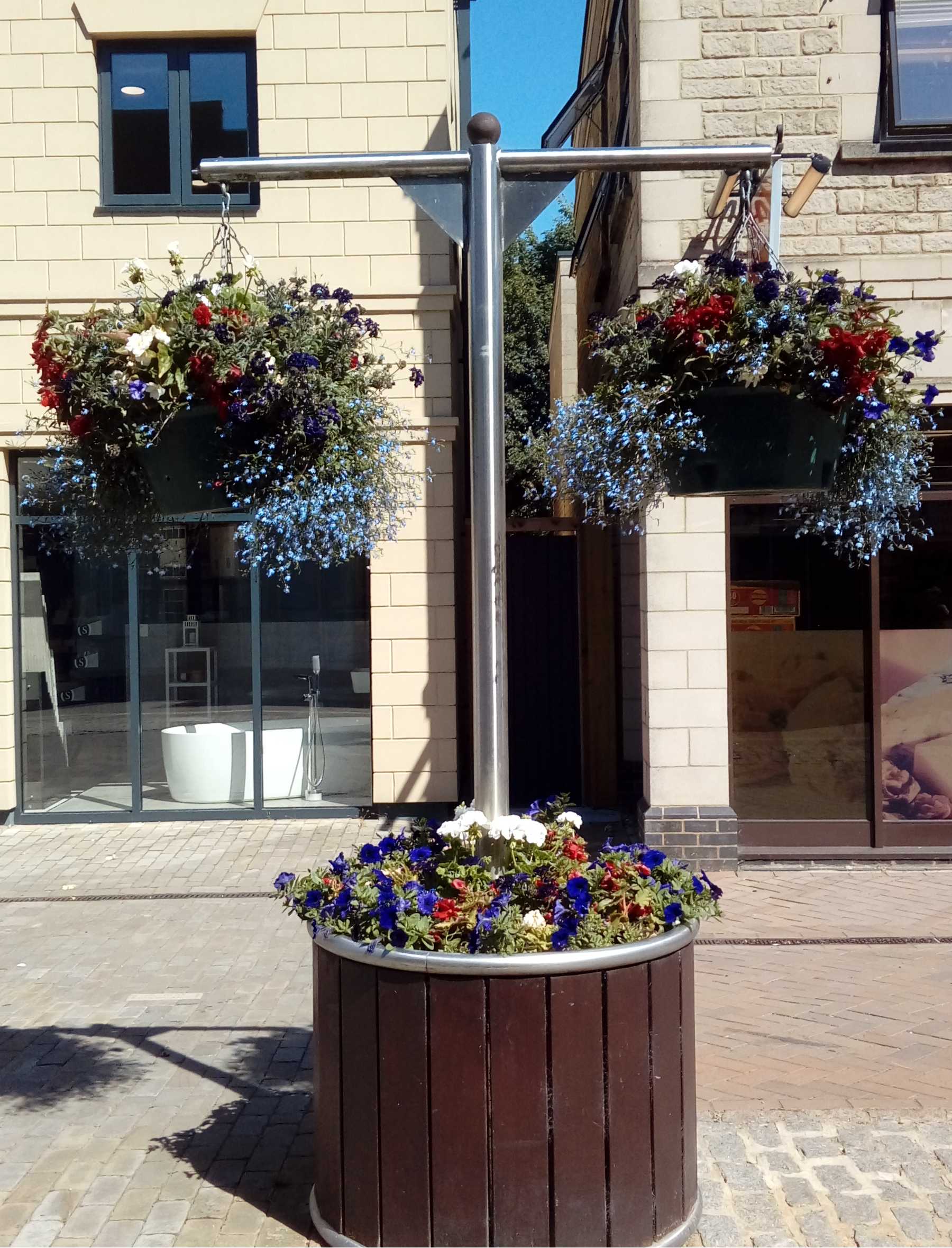 hanging baskets with patriotic flowers